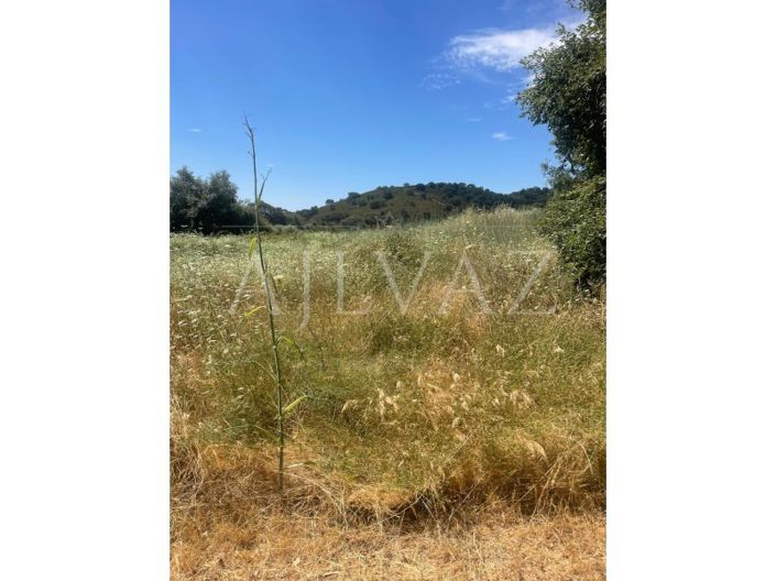 Image No.11-Farmhouse for sale