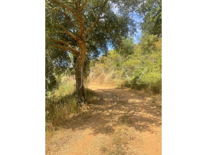 Image No.12-Farmhouse for sale