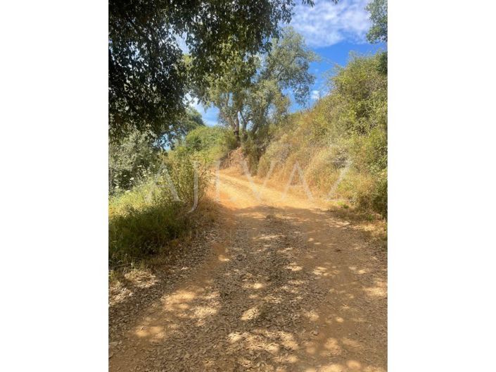 Image No.13-Farmhouse for sale