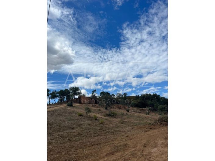 Image No.2-Farmhouse for sale