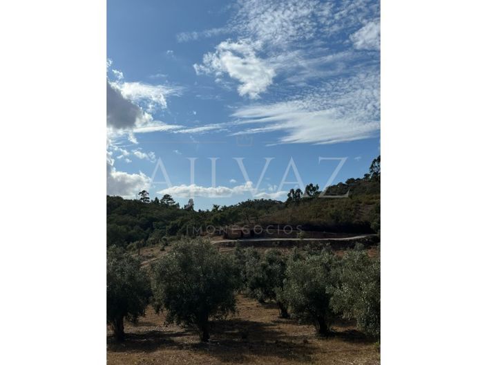 Image No.4-Farmhouse for sale