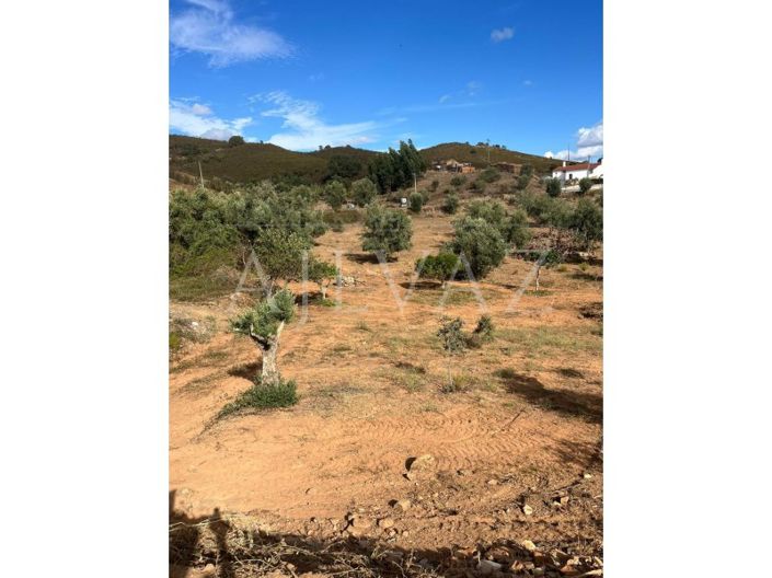 Image No.10-Farmhouse for sale