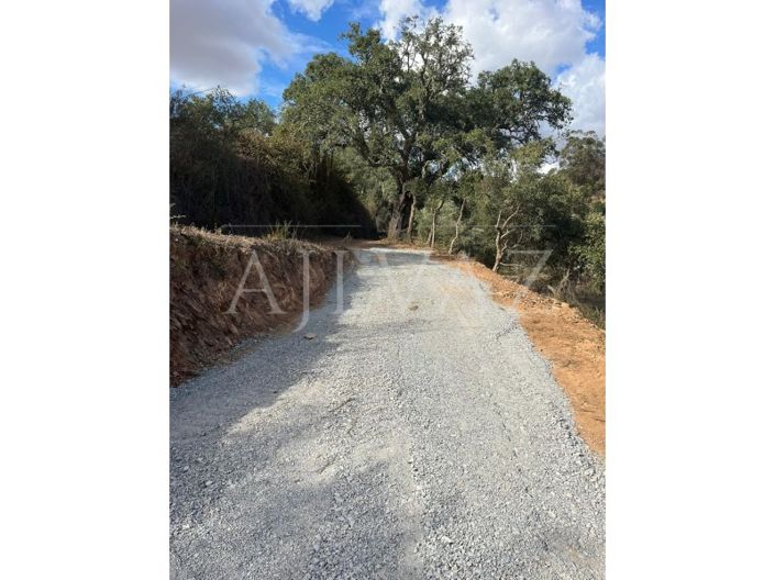 Image No.7-Farmhouse for sale