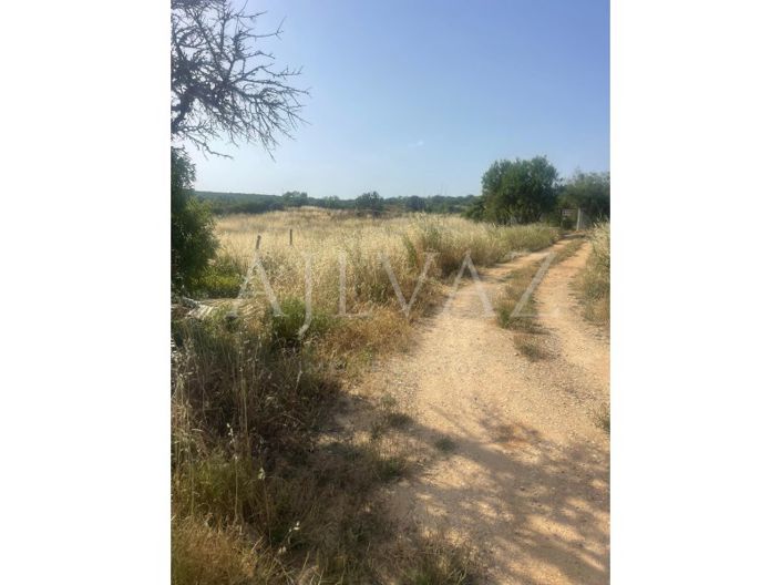 Image No.19-2 Bed Farmhouse for sale