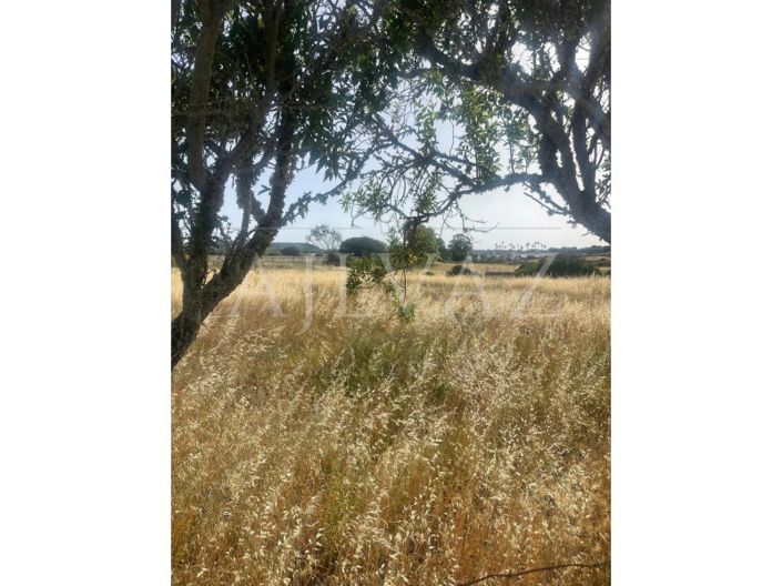 Image No.22-2 Bed Farmhouse for sale