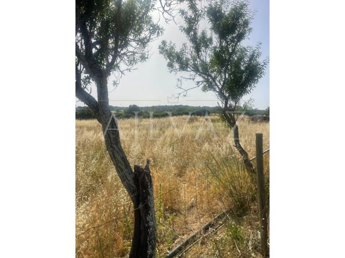 Image No.23-2 Bed Farmhouse for sale