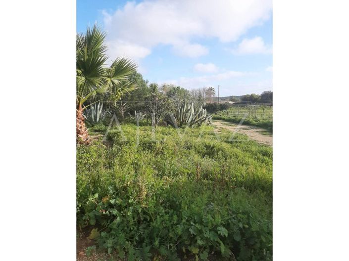 Image No.5-2 Bed Farmhouse for sale