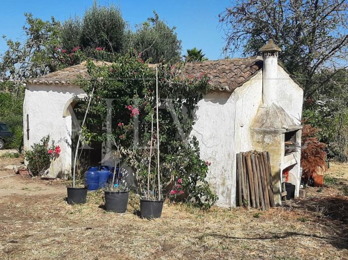 Image No.20-5 Bed Farmhouse for sale