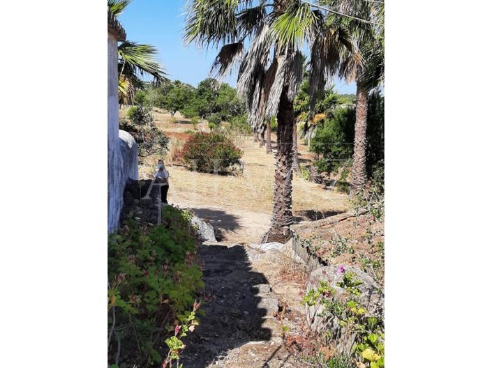 Image No.34-5 Bed Farmhouse for sale