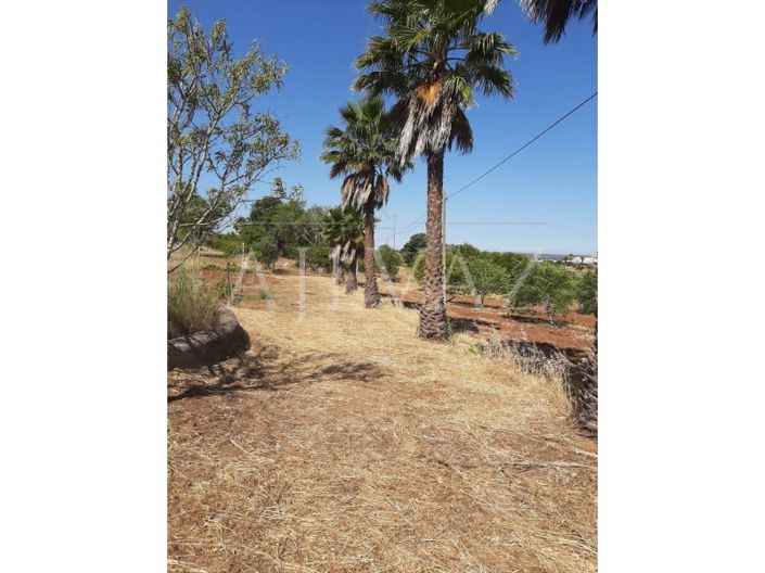 Image No.35-5 Bed Farmhouse for sale