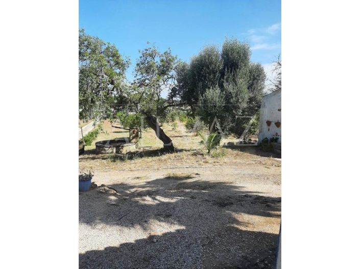 Image No.36-5 Bed Farmhouse for sale