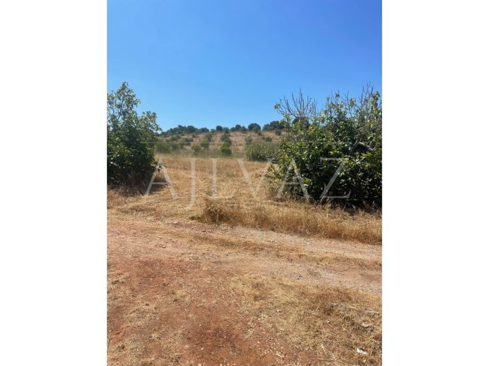 Image No.38-5 Bed Farmhouse for sale