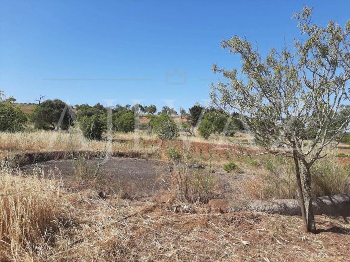 Image No.39-5 Bed Farmhouse for sale