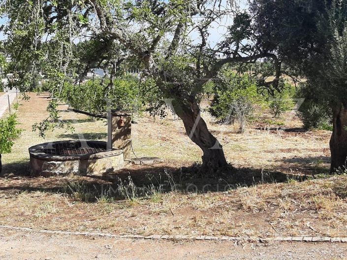 Image No.40-5 Bed Farmhouse for sale