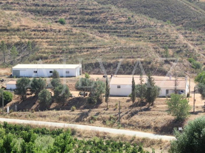 Image No.10-14 Bed Farmhouse for sale