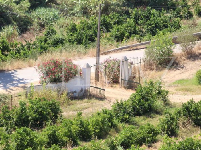 Image No.11-14 Bed Farmhouse for sale