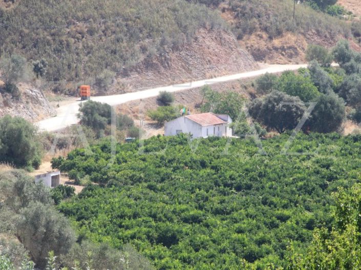 Image No.12-14 Bed Farmhouse for sale