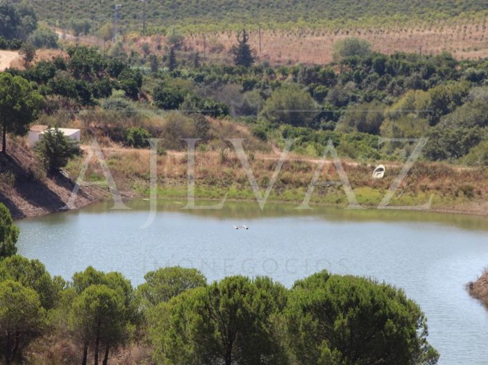 Image No.13-14 Bed Farmhouse for sale