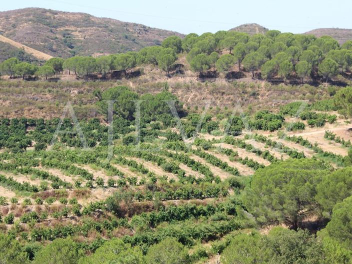 Image No.14-14 Bed Farmhouse for sale