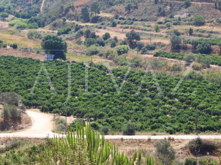 Image No.16-14 Bed Farmhouse for sale