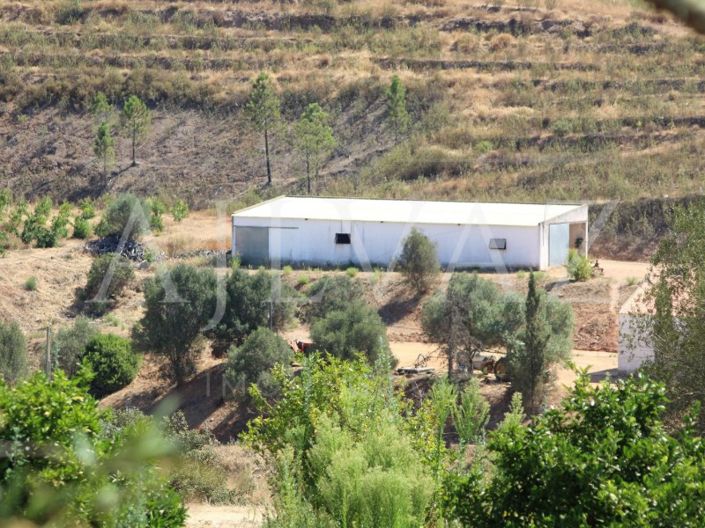 Image No.17-14 Bed Farmhouse for sale