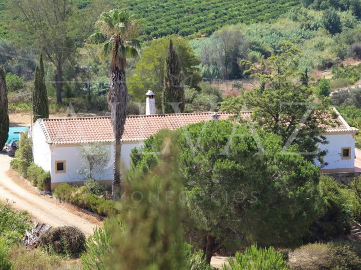 Image No.18-14 Bed Farmhouse for sale