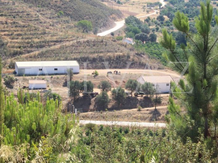 Image No.19-14 Bed Farmhouse for sale