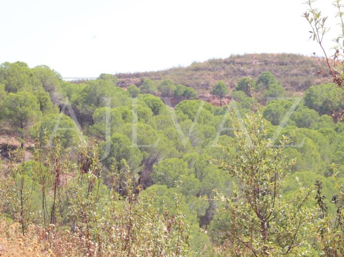 Image No.20-14 Bed Farmhouse for sale