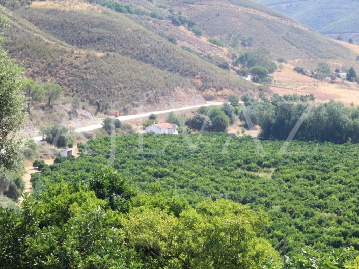 Image No.21-14 Bed Farmhouse for sale