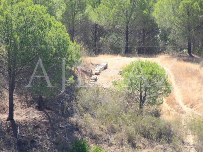 Image No.22-14 Bed Farmhouse for sale