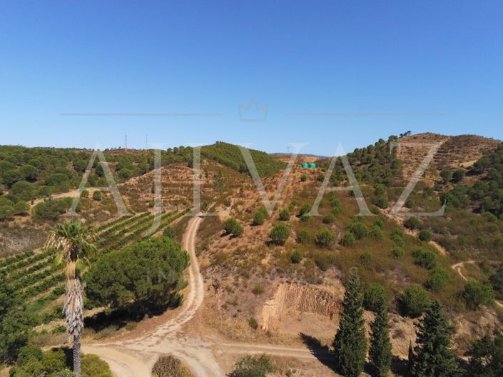 Image No.26-14 Bed Farmhouse for sale