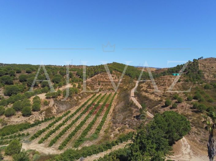 Image No.27-14 Bed Farmhouse for sale