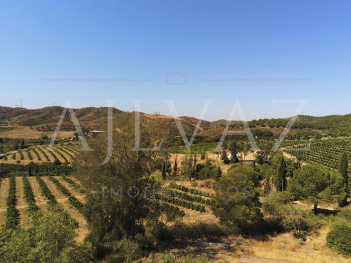 Image No.29-14 Bed Farmhouse for sale