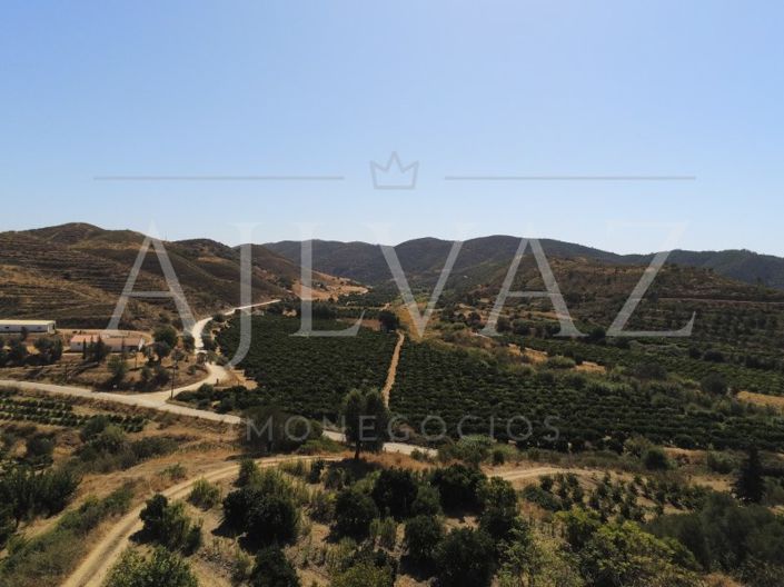 Image No.30-14 Bed Farmhouse for sale