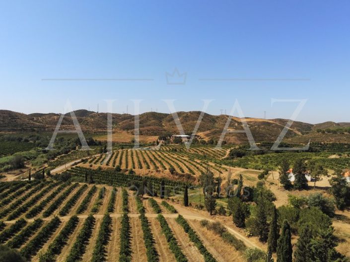 Image No.32-14 Bed Farmhouse for sale