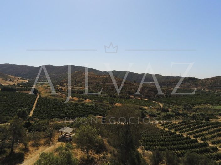 Image No.34-14 Bed Farmhouse for sale