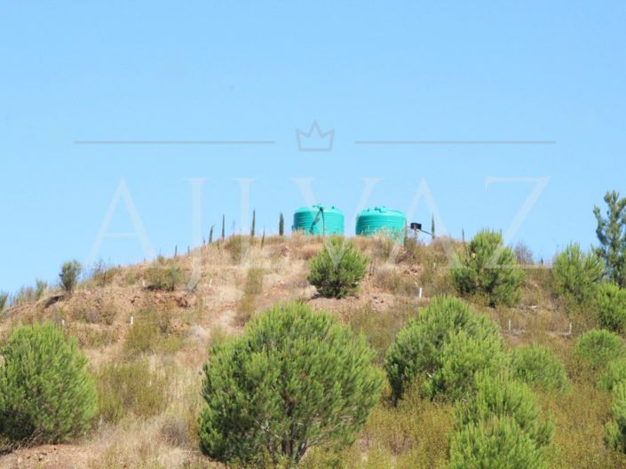 Image No.6-14 Bed Farmhouse for sale