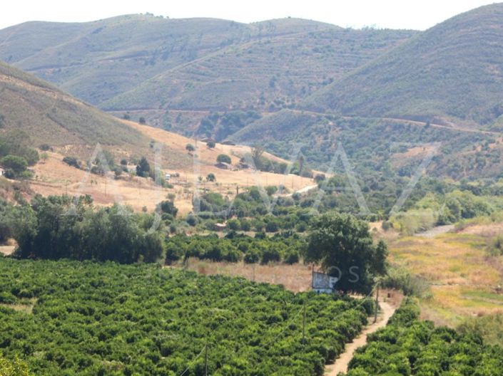 Image No.7-14 Bed Farmhouse for sale