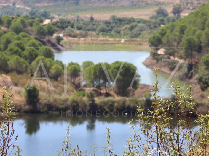 Image No.8-14 Bed Farmhouse for sale