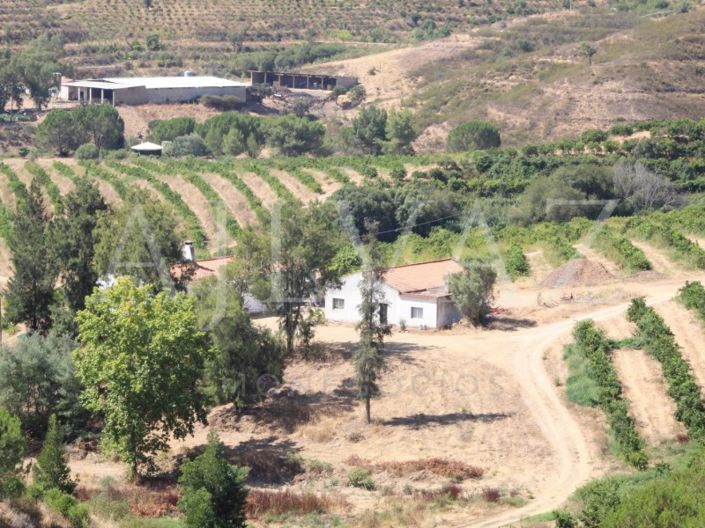 Image No.9-14 Bed Farmhouse for sale