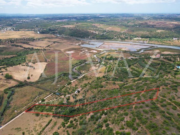 Silves, Plot