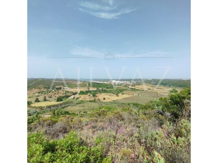 Image No.20-Plot for sale