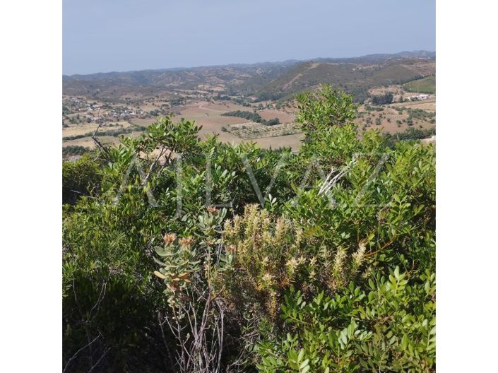 Image No.22-Plot for sale