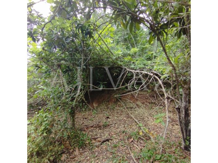 Image No.35-Plot for sale