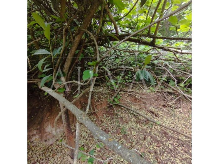 Image No.37-Plot for sale