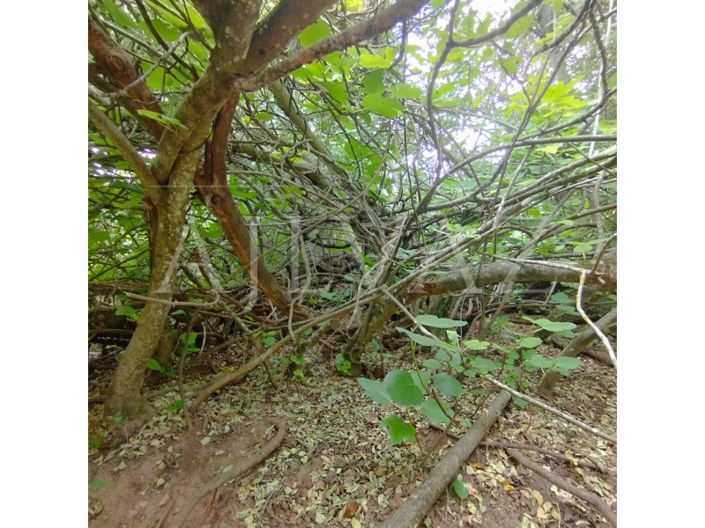 Image No.38-Plot for sale