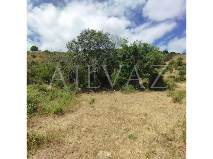 Image No.40-Plot for sale