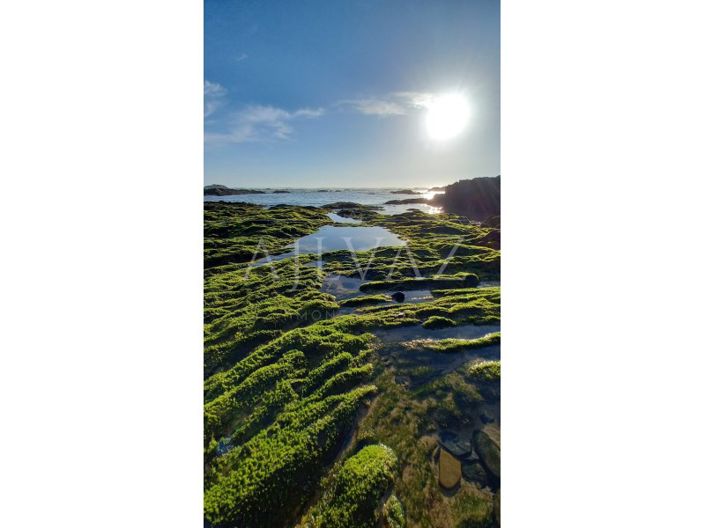 Image No.30-3 Bed House for sale