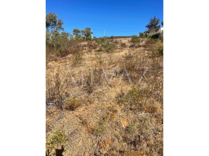 Image No.6-Plot for sale