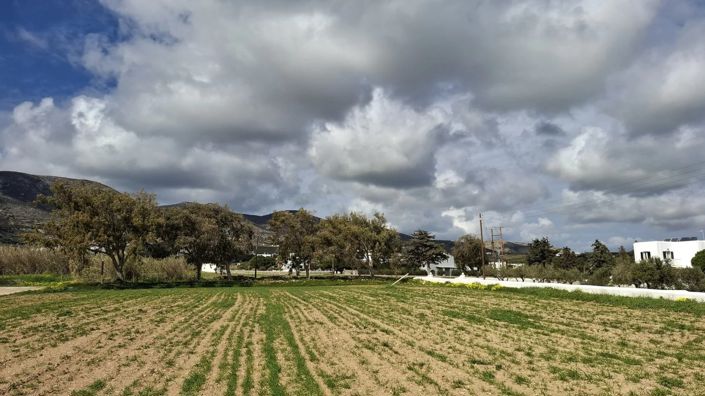 Image No.7-Land for sale